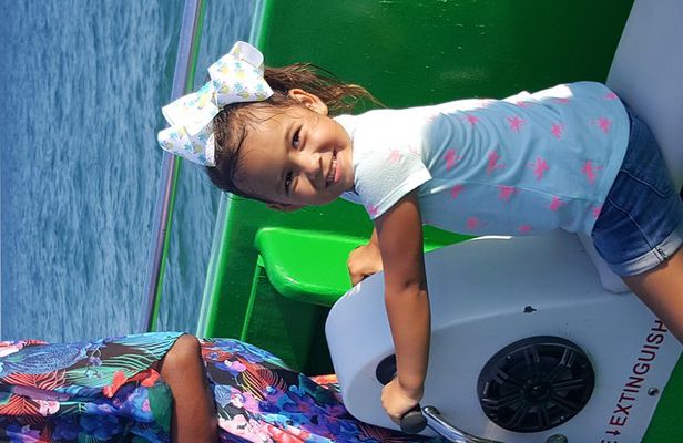 Dolphin Cruise in Destin FL