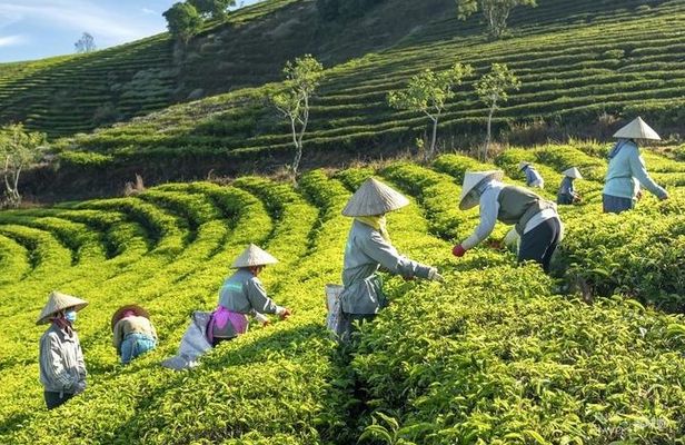 Private Da Lat 3 Days 2 Nights From Saigon