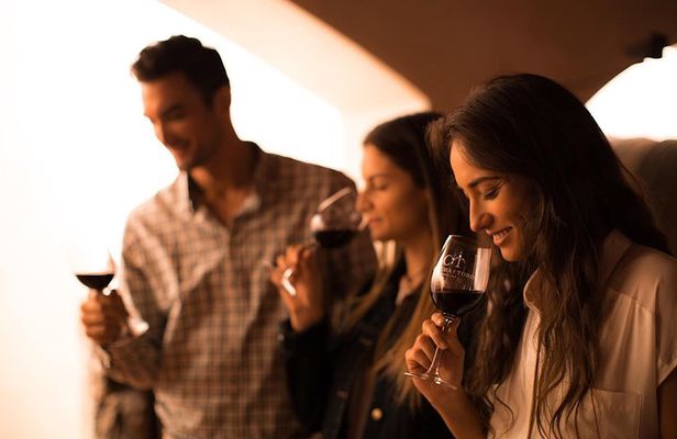 Small-Group Half Day Tour to Concha y Toro Winery