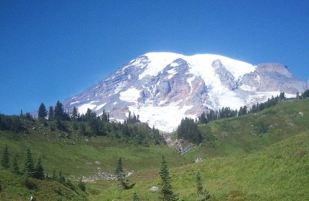 Mt Rainier Private Tour Experience in SUV