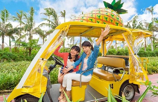 Okinawa Hip-hop Bus A Course Tour|Churaumi Aqualium,Kori Island