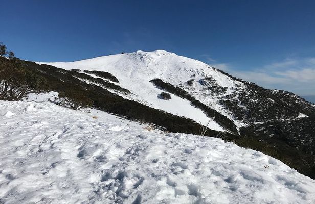 Mount Buller Snow Day Boutique Trip - Max 11 People