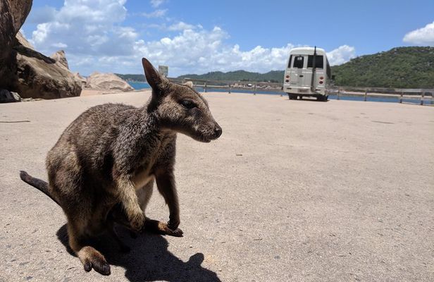 Magnetic Island Tour: Maggie Comprehensive