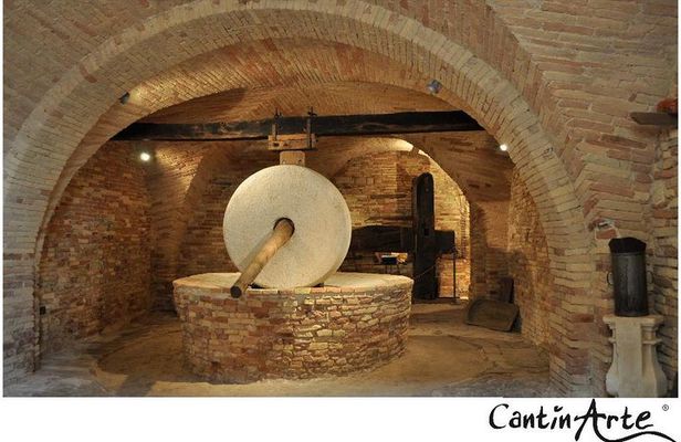 Organic Wine Tasting & tasting of EVO CantinArte OIL MUSEUM