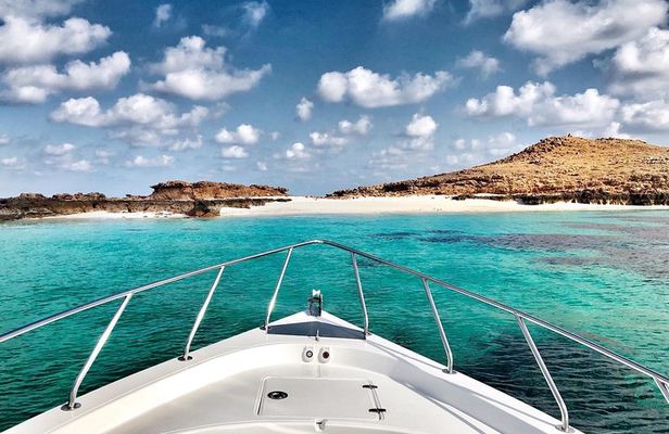 Cruises to Daymaniyat & Snorkeling