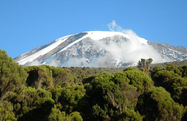 Mountain Kilimanjaro Climbing 8 Days Lemosho Route
