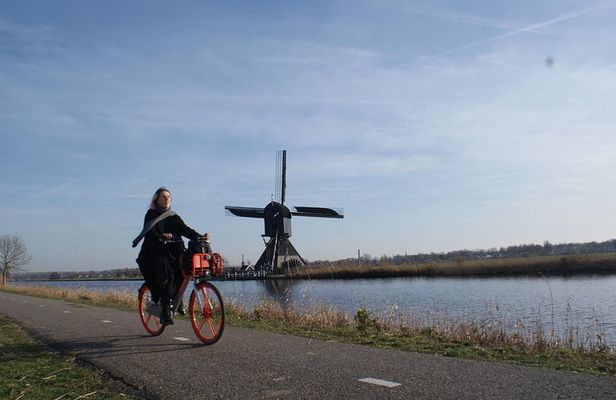 Kinderdijk Area Cycling Tour