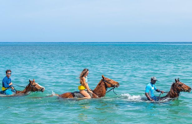 ATV, Horse Ride, Zipline, Falls Climb with Lunch from Montego Bay