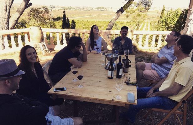 Singular Valencia Wine Tour Utiel Requena Wineries