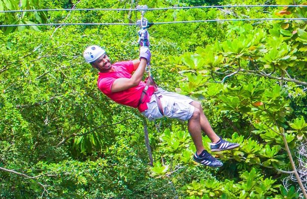 Falls Flyer Zipline and Dunn's River Falls Adventure Tour from Kingston