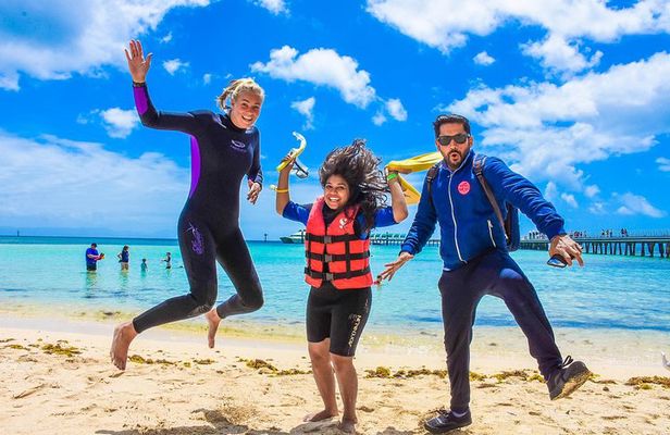 Green Island Day Trip from Cairns with Beaches Transfers