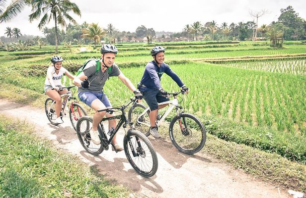 Bali Cycling Tour - exploring bali countryside by bike