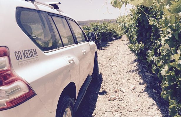Judean Hills Wine Tasting Tour From Tel Aviv