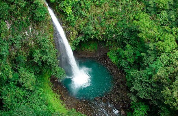 12-Cable Zipline Canopy Tour Over Waterfalls