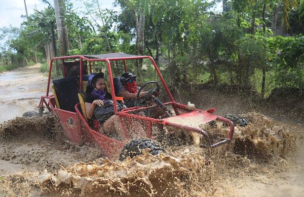 Platinum Buggy Adventure