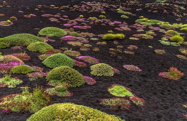 Grotta Serracozzo and Valle del Bove