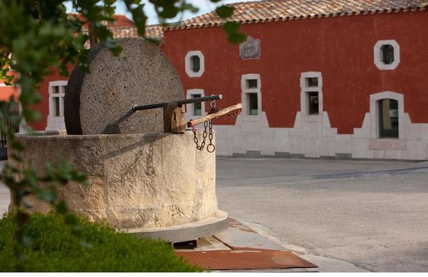 Wine experience in a local winery - Departure from Cagliari