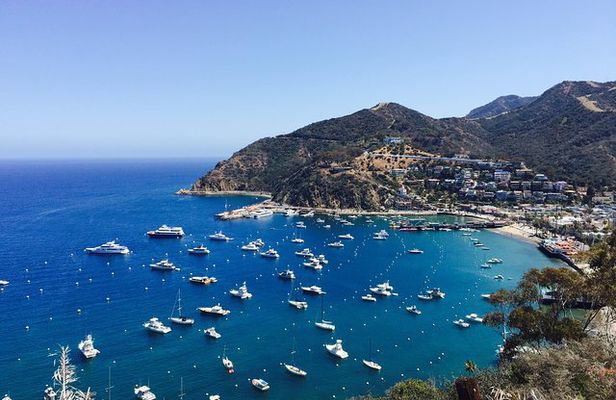 Catalina Island w/Discover Avalon Scenic Tour & Hotel transfers