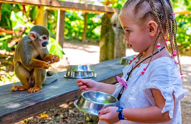 Monkeyland & Plantation Safari Full Day from Juan Dolio