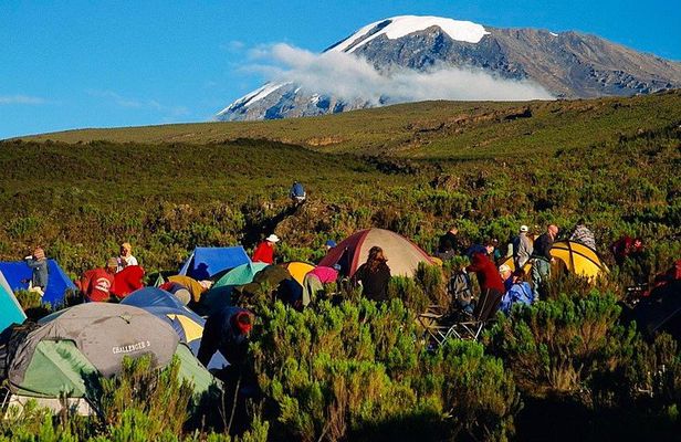 Mountain Kilimanjaro Climbing 7 Days Machame Route