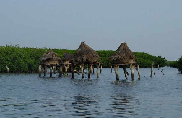 Your private driver & tour guide in Senegal-the shell island