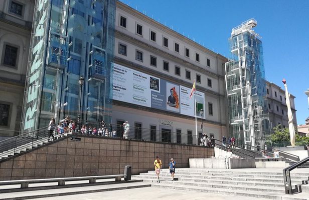 Visita privada en el Museo Reina Sofía con Entrada y Guía