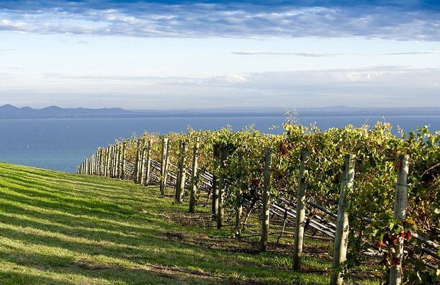 Around the Bay Food and Wine Taste Trail