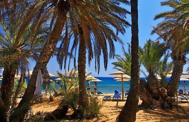 RIVIERA - Vai Palm Beach, Toplou Monastery