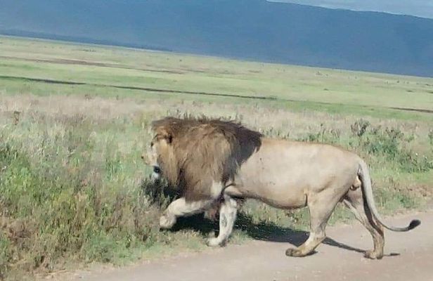3 Days Budget Mid Range Safari Tour Tanzania