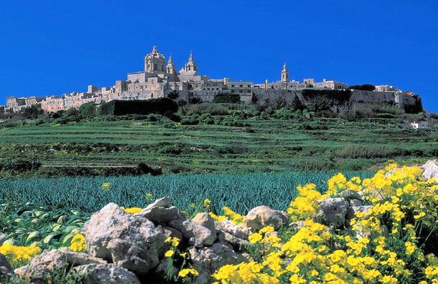 Mdina, Rabat, Dingli cliffs, San Anton gardens, Ta' Qali & Mosta guided tour