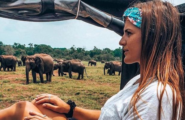 Sri Lanka Budget tour 11 N /12 D with driver, vehicle and H/B accommodations 