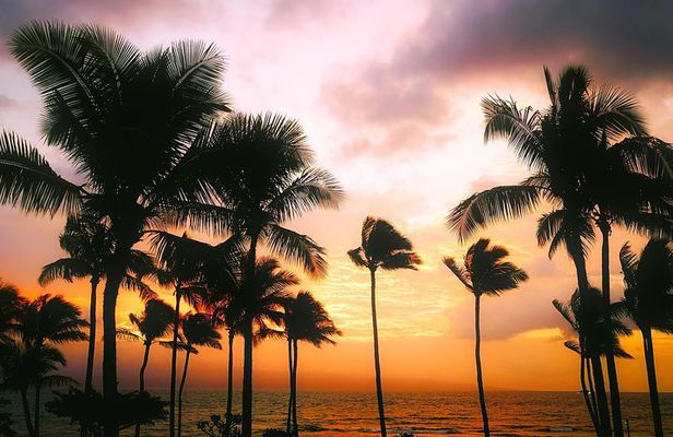 Creative Soul Scavenger Hunt( Kona Big island Hawaii)