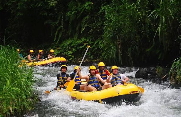 Ubud White Water Rafting with Private Transfer & Lunch