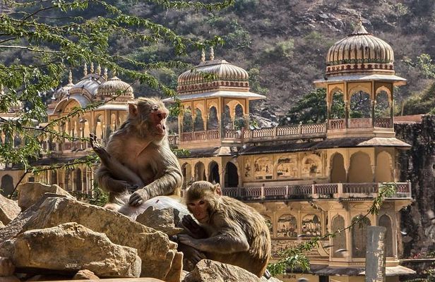 Full-Day Private City Tour of Jaipur