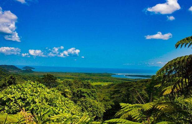 Cape Tribulation Day Tour