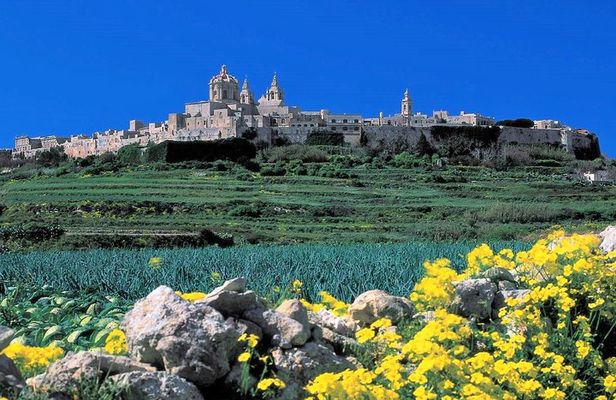 Mdina, Dingli cliffs and San Anton Gardens guided tour