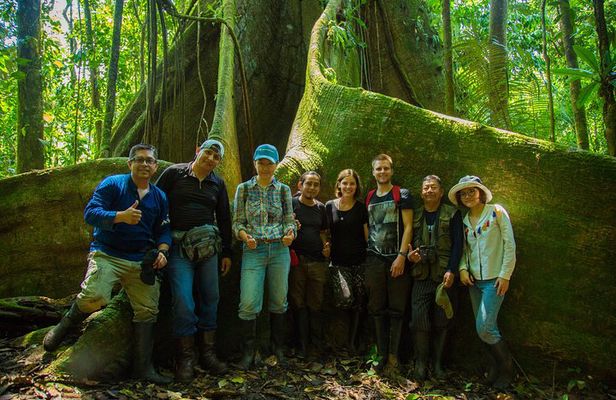 Yasuni National Park 3 days 2 nights in the Amazon of Ecuador,comfortable rooms