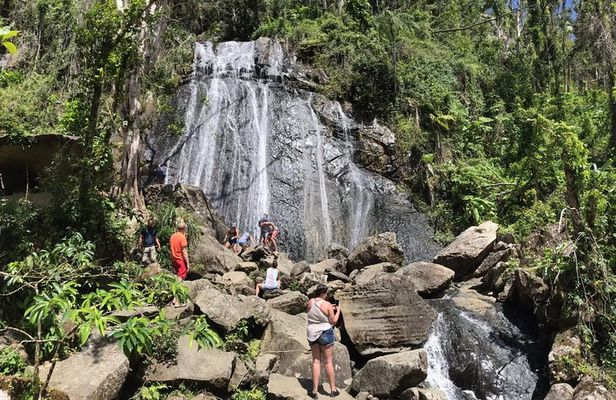 El Yunque Rainforest Hiking Tour from San Juan
