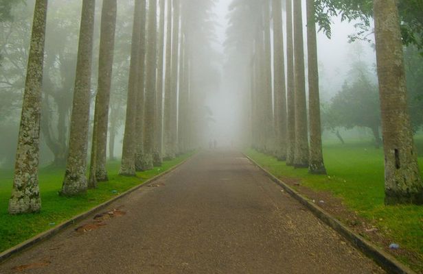 Escape Accra City to Aburi Gardens and Tetteh Quarshie Cocoa Farms