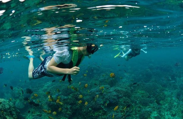 Bali Hai - Castaway Escape Cruise
