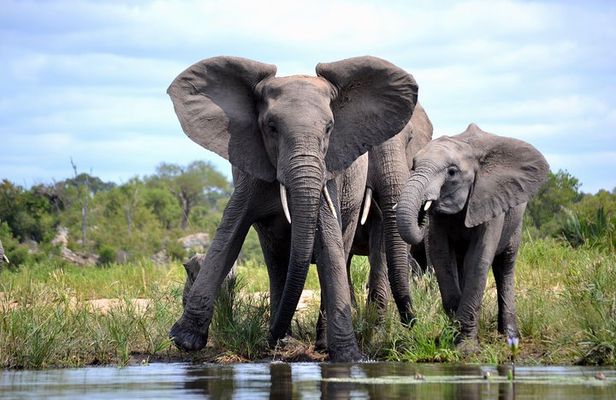 4 Night Kruger safari and Blyde Canyon