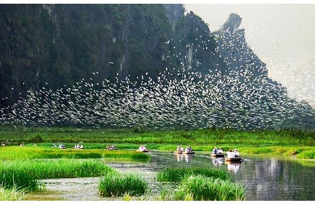 Ninh Binh – Van Long Wetland Reserve 2 Days 1 Night