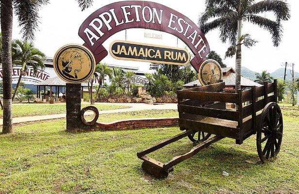 Appleton Estate Rum Tour and Tasting from Falmouth