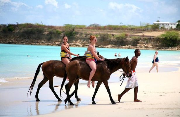 Horseback Riding, ATV & Blue Hole (Land & Sea) from Falmouth