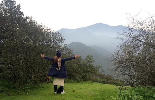 Private Wine Trekking Tour Including Chilean Country Grill