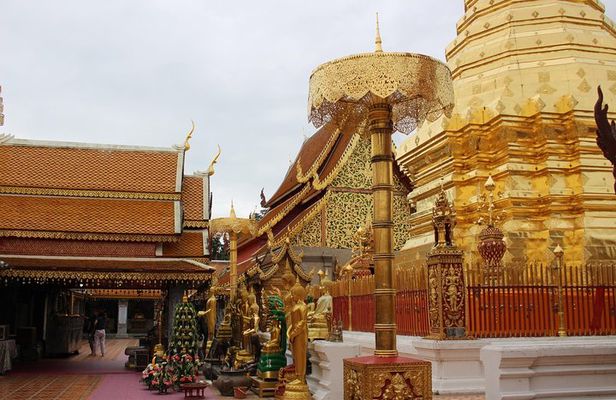 Chiang Mai: Morning Alms, Doi Suthep, Mon Jam, Long Neck & More