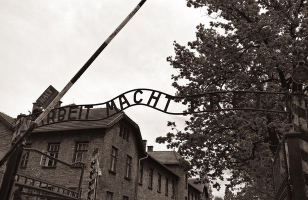 Krakow: Auschwitz - Birkenau Guided Tour with Private Transport