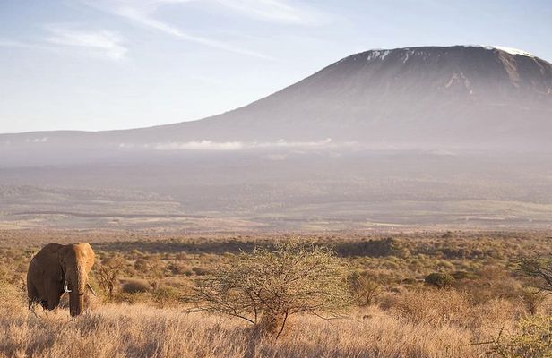 Day Tour to Amboseli National park and Masai Village Tour