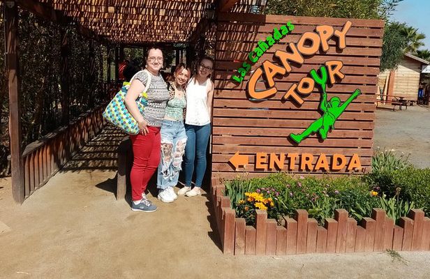 Las Canadas Ecopark and Bufadora private tour