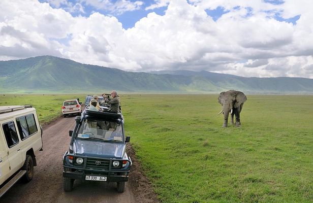 7 Days Tarangire, Serengeti, Ngorongoro & Manyara Camping Safari Tour Tanzania